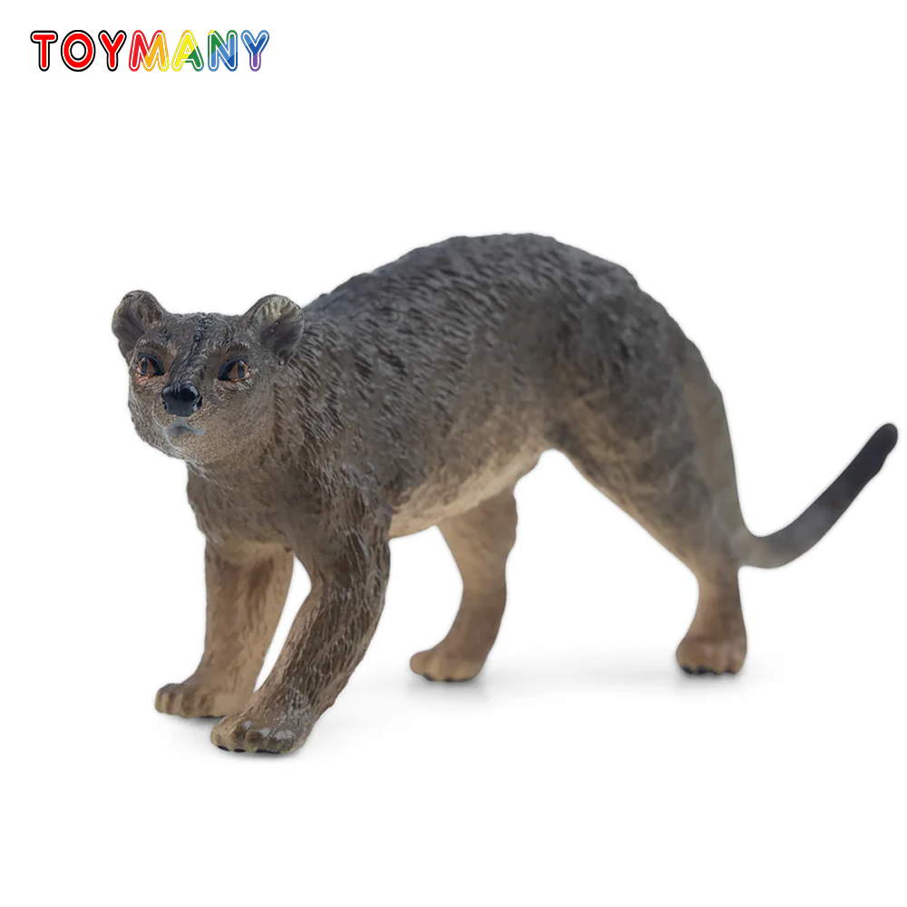 Kids Toys Variety - Toymany Simulasi Fossa Madagaskar Hewan Model