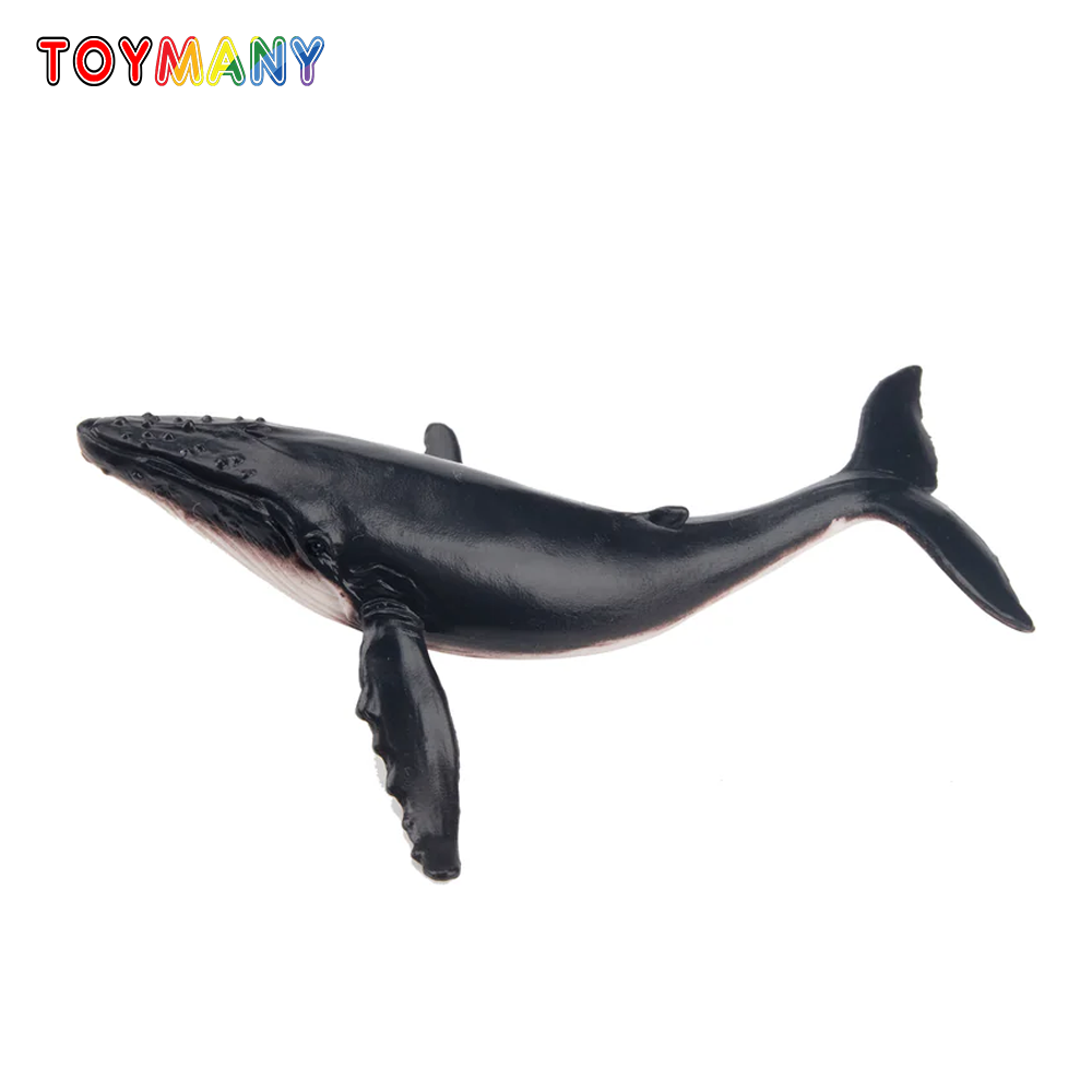 Toymany Mainan Model Hewan Lau - Kids Toys Variety ulasan dan harga